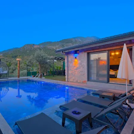 Villaoliveterrace Willa
