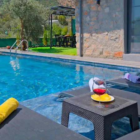 Villaoliveterrace Villa Fethiye