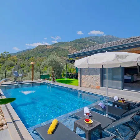 Villa Villaoliveterrace