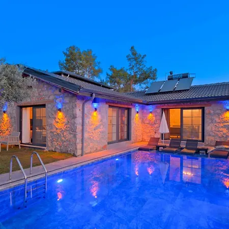Villaoliveterrace Willa