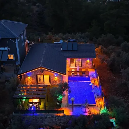 Villaoliveterrace *