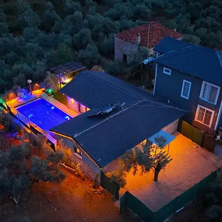 Villaoliveterrace Villa