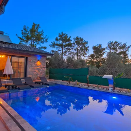 Villaoliveterrace Willa