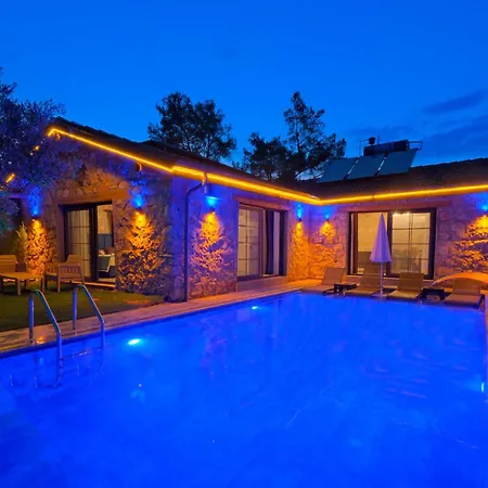 Villaoliveterrace Villa