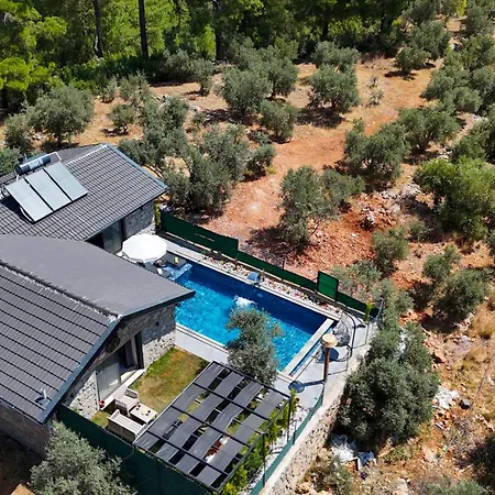 Villaoliveterrace Villa