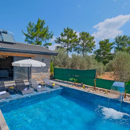 Villaoliveterrace Villa *