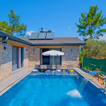 Villaoliveterrace *