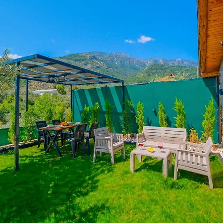 Villaoliveterrace Willa